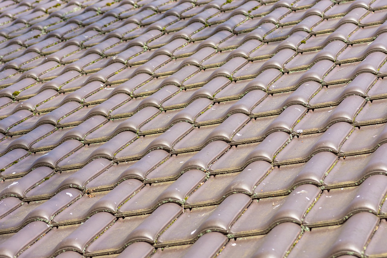 Antimousse pour toiture: Éliminez l'humidité sur votre toit